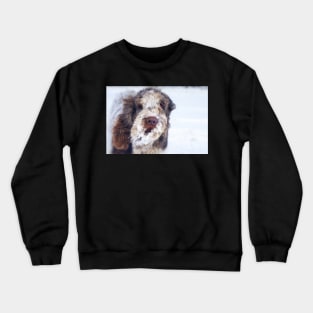 Snow Beard Spinone Crewneck Sweatshirt